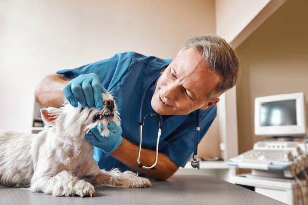 Best Emergency Wisdom Teeth Removal in Mount Hope, WV